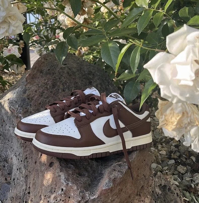 Nike Dunk Low Mocha 啡色 - HADNUS