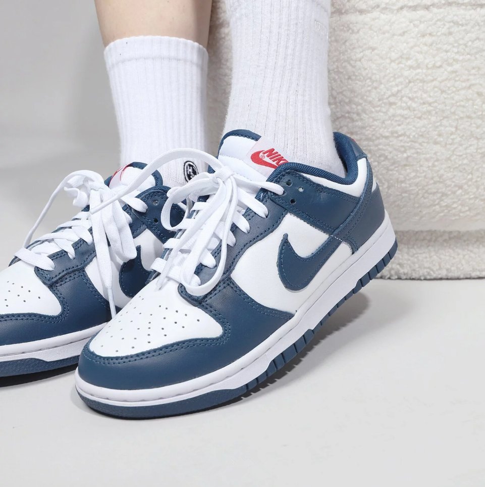 Nike Dunk Low Valerian Blue - HADNUS